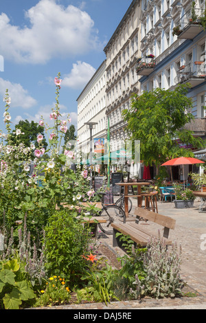 Altbauten und Blumen auf der Oderberger Straße, Prenzlauer Berg, Berlin, Deutschland Stockfoto