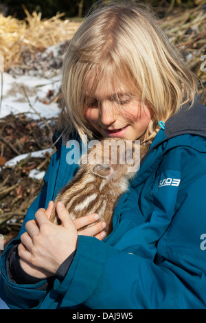 Wildschwein, Schwein, Wildschwein (Sus Scrofa), junge hält einen schlafenden Shote auf seinem Arm, Deutschland Stockfoto