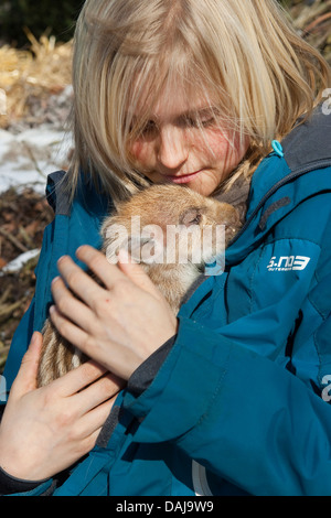 Wildschwein, Schwein, Wildschwein (Sus Scrofa), junge hält einen schlafenden Shote auf seinem Arm, Deutschland Stockfoto