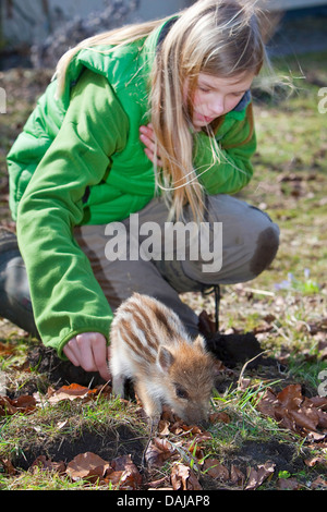 Wildschwein, Schwein, Wildschwein (Sus Scrofa), Mädchen mit Shote im Garten, Deutschland Stockfoto