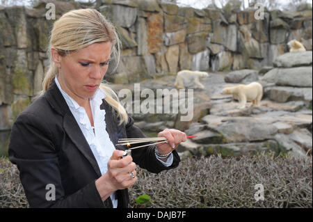 Botschafter der Europäischen Tier- und Tierschutz Organisation ETN, Maja von Hohenzollern, legt Räucherstäbchen für den kürzlich verstorbenen Eisbären Knut im Zoo in Berlin und protestiert gegen die Füllung des Tieres, Deutschland, 31. März 2011. ETN ist in der Regel gegen wilde Tiere in zoologischen Gärten zu halten. Foto: Jens Kalaene Stockfoto