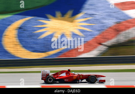 Spanisch-Formel-1-Fahrer Fernando Alonso Ferrari steuert sein Auto vor der malaysischen Bundesstaat Flagge während des zweiten Trainings auf dem Sepang Circuit außerhalb Kuala Lumpur, Malaysia, 8. April 2011. Der Formel 1 Grand Prix von Malaysia stattfinden am 10. April 2011. Foto: Jens Buettner dpa Stockfoto