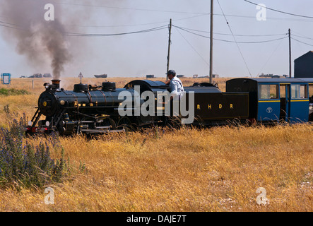 Romney Hythe und Dymchurch Miniatur Dampf Eisenbahn Lok Zug Arzt Syn bei Dungeness Kent UK Stockfoto