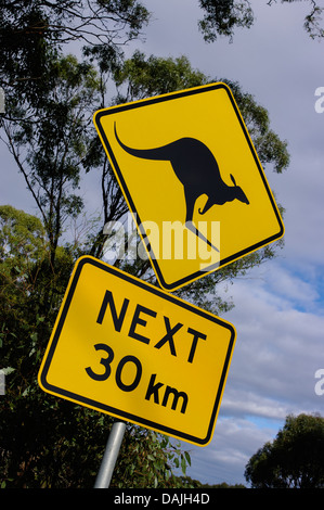 Känguru-Warnschild, Australien Stockfoto