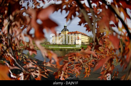 (Dpa-Datei) - ein Datei-Bild datiert 21. Oktober 2009 zeigt das Moritzburger Schloss, umgeben von bunten Blättern in Zeitz, Deutschland. Foto: Jan Woitas Stockfoto