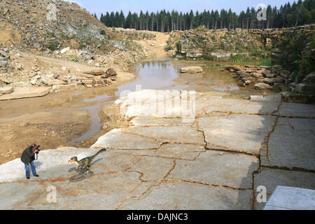 (Dpa-Datei) - ein Datei-Bild datiert 12. September 2008 ein Raptor-Modells an einem Ort, wo Dinosuar Fußspuren in Obernkirchen, Deutschland gefunden. vor 140 Millionen Jahren durchstreiften Dinosaurier durch dieses Gebiet. Vom 14. bis 17. April treffen sich internationale Dinosaurier Gelehrten in Obernkirchen für ein Symposium zum Thema "Dinosaurier-Spuren in Niedersachsen". Foto: Holger Hollemann Stockfoto