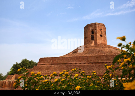 Ruinen des buddhistischen Stupa Chaukhandi Stupa, Sarnath, Varanasi, Uttar Pradesh, Indien Stockfoto