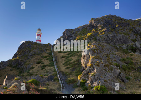 Treppe zum Leuchtturm Cape Palliser Stockfoto