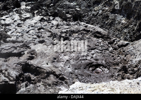 Teufel &#39; s Tinte Töpfe, sprudelnden Schlammpfützen Stockfoto