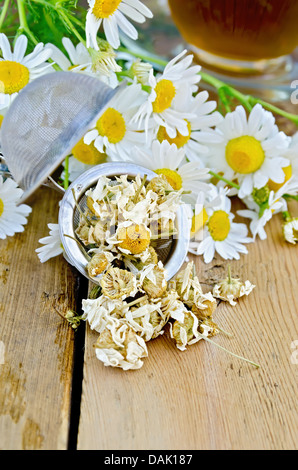 Metall-Sieb mit getrockneten Kamille, ein Bouquet von frischen Blumen Kamille, Tee in eine Glasschale auf einem Hintergrund von Holzbrettern Stockfoto