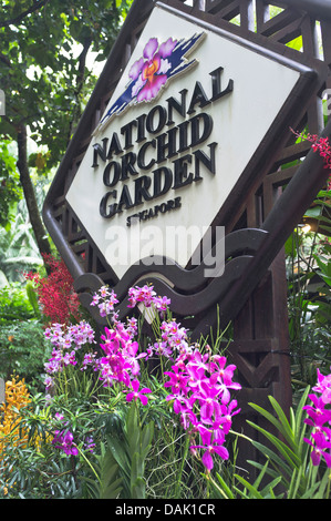 dh National Orchid Garden BOTANIC GARDENS SINGAPUR Singapur Schild und Orchidee blüht botanische Orchideen Stockfoto