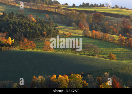 Autum Landschaft im Nationalpark Vecors im Abendlicht, Frankreich, Vercors-Nationalpark Stockfoto