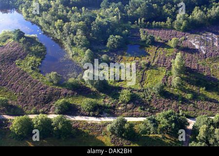 Luftbild, de Teut Natur reserve, Belgien, Limburg, Nationalpark Hoge Kempen Stockfoto