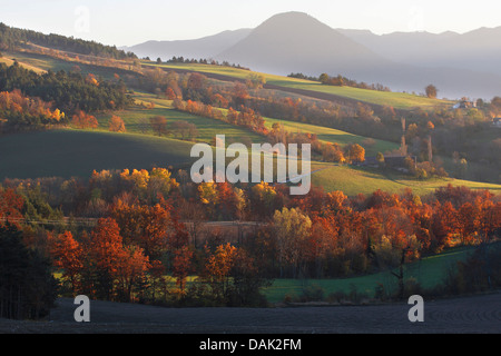 Autum Landschaft im Nationalpark Vecors im Abendlicht, Frankreich, Vercors-Nationalpark Stockfoto