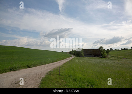 Landstraße in Fialki in der Nähe von Gorzno, Polen Stockfoto