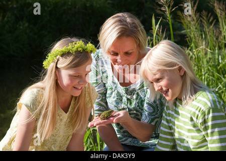 Europäische essbare Frosch, essbare Grasfrosch (Rana kl. Esculenta, Rana Esculenta, außer Esculentus), Mutter zeigt einen essbaren Frosch zu ihren Kindern, Deutschland Stockfoto