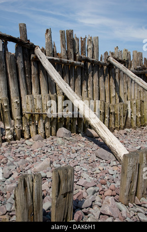 Ein Ausschnitt aus verwittertem Holz am Strand von Porlock, Somerset, England. Stockfoto