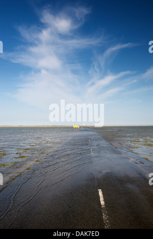 Gezeiten Causeway führen auf Holy Island, Lindisfarne, Northumberland, England Stockfoto