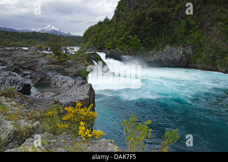 Saltos Petrohue, Chile, Patagonien Stockfoto