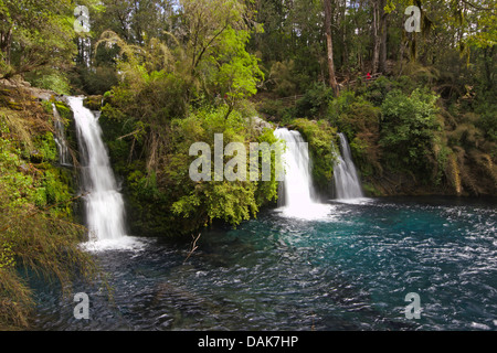 Wasserfälle Ojos del Caburgua, Chile, Patagonien Stockfoto