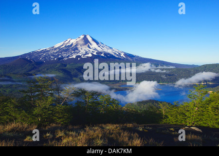 Vulkan Llaima und Lago Conguillio im Morgenlicht, Conguillio Nationalpark, Anden, Patagonien, Chile Stockfoto