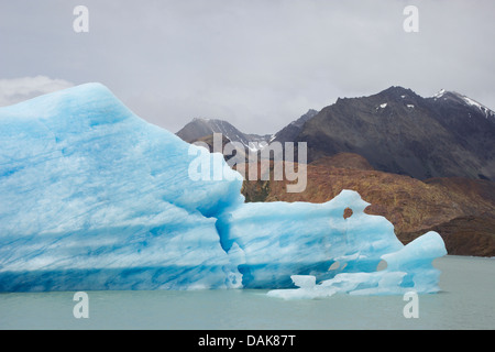 Eisberg im Lago Viedma, Chile, Patagonien, Anden, der Nationalpark Los Glaciares Stockfoto