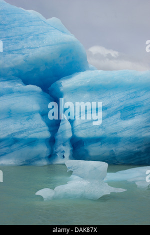 Eisberg im Lago Viedma, Chile, Patagonien, Anden, der Nationalpark Los Glaciares Stockfoto