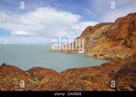 Lago Viedma, Argentinien, Patagonien, Anden, der Nationalpark Los Glaciares Stockfoto