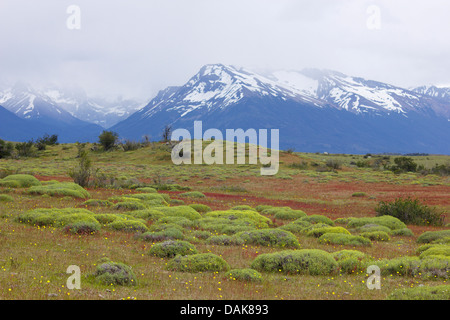 Landschaft zwischen El Calafate und Perito-Moreno-Gletscher, Berge im Hintergrund der Nationalpark Los Glaciares, Argentinien, Patagonien, Anden, der Nationalpark Los Glaciares Stockfoto