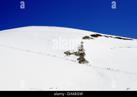 Kletterer am Berg Breithorn (4164 m), Zermatt, Valais, Schweizer Alpen, Schweiz, Europa Stockfoto