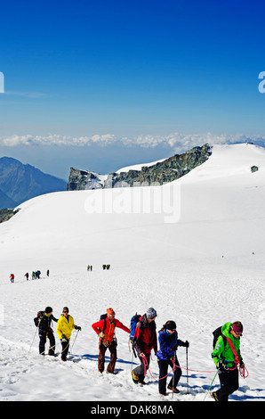 Kletterer am Berg Breithorn (4164 m), Zermatt, Valais, Schweizer Alpen, Schweiz, Europa Stockfoto