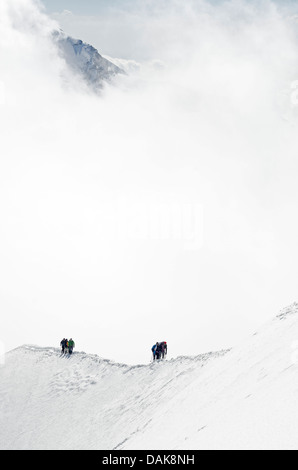 Kletterer am Berg Breithorn (4164 m), Zermatt, Valais, Schweizer Alpen, Schweiz, Europa Stockfoto