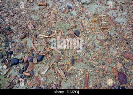 versteinertes Holz der Samiento mit verkieselten Stämme der Palmen ein Koniferen der Kreidezeit Alter, Argentinien, Patagonien, Monumento Natural Bosque Petrificado Sarmiento Stockfoto