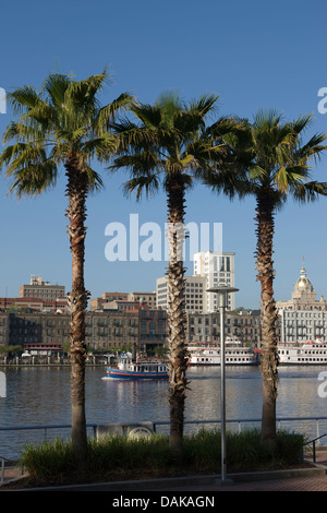 INNENSTADT VON SKYLINE SAVANNAH RIVER VON HUTCHINSON ISLAND SAVANNAH GEORGIA USA Stockfoto