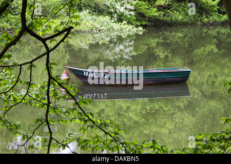 Auenwaldes mit Boot auf dem Fluss, Deutschland, Baden-Württemberg Stockfoto