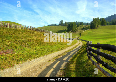 typischen Holzzaun in der Nähe von Wengen, Italien, Südtirol, Dolomiten, Valletta Stockfoto