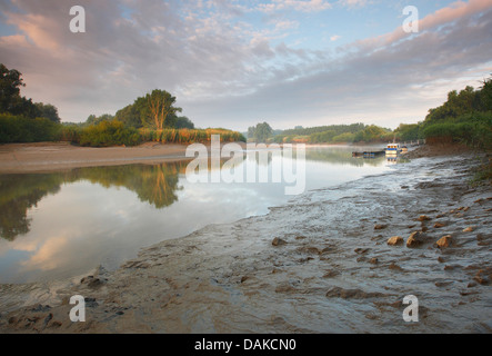 schlammigen Ufer des Flusses Durme, Belgien Stockfoto