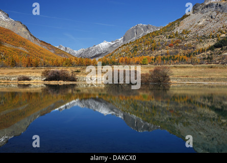 Vall e De La Guisane, Montagne des Agneaux, Frankreich Stockfoto