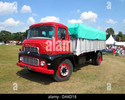 Newport-Show, Chetwynd Deer Park, Newport, Shropshire Stockfoto