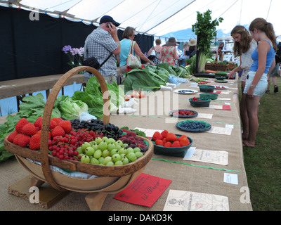 Newport-Show, Chetwynd Deer Park, Newport, Shropshire Stockfoto