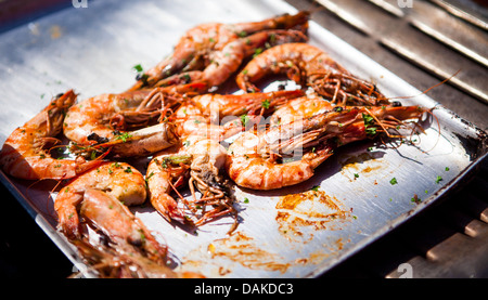 Gekochte Garnelen auf dem Dorset Sea Food Festival 2013 im Hafen von Weymouth Stockfoto