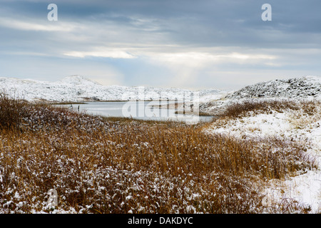 See in verschneiten Dünenlandschaft, Niederlande, Texel Stockfoto