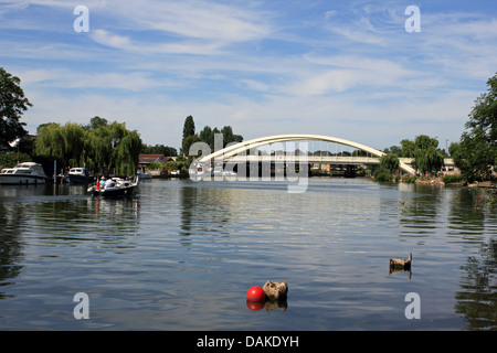 Die neue Walton-Brücke ist die erste neue Straßenbrücke über den Fluss Themse in 20 Jahren. Aufgrund der 22. Juli 2013 für den Verkehr geöffnet. Stockfoto