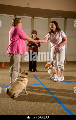 Durchführung einer Zwischenablage-Checkliste, wertet Inspektor das Verhalten eines Hundes als emotionale Therapie Tier. Stockfoto