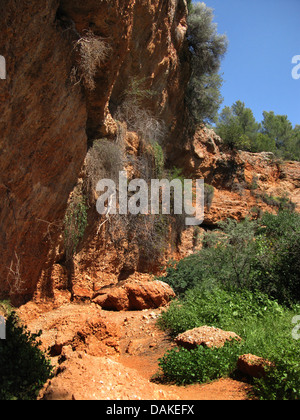 in einer großen Doline in der Nähe von Didyma, Griechenland, Peloponnes, Argolis, Didyma Stockfoto