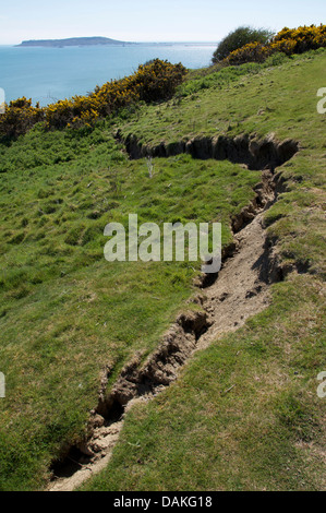 Risse erscheinen in einem Feld oberhalb der Klippen am Osmington Mühlen. Teil des natürlichen Prozesses der Küstenerosion. Jurassic Coast, Dorset, England, UK, GB. Stockfoto