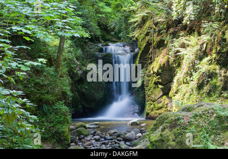 geologisches Naturdenkmal Geroldsau Wasserfall, Deutschland, Baden-Württemberg, Baden-Baden Stockfoto