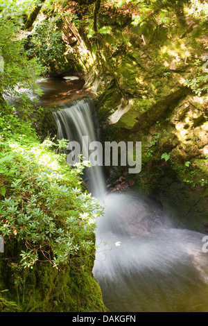 geologisches Naturdenkmal Geroldsau Wasserfall, Deutschland, Baden-Württemberg, Baden-Baden Stockfoto