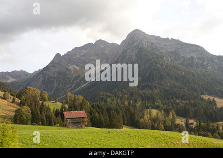 Blick über Wald und Alm Landschaft im Kleinwalsertal, Österreich, Vorarlberg, Mittelberg Stockfoto