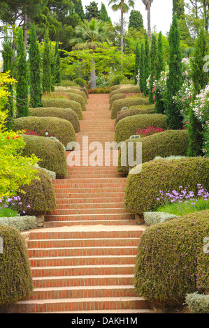 Italienische Zypresse (Cupressus Sempervirens 'Stricta', Cupressus Sempervirens Stricta), Sorte Stricta im Jardin Botanico Mar i Murtra, Spanien, Katalonia Stockfoto